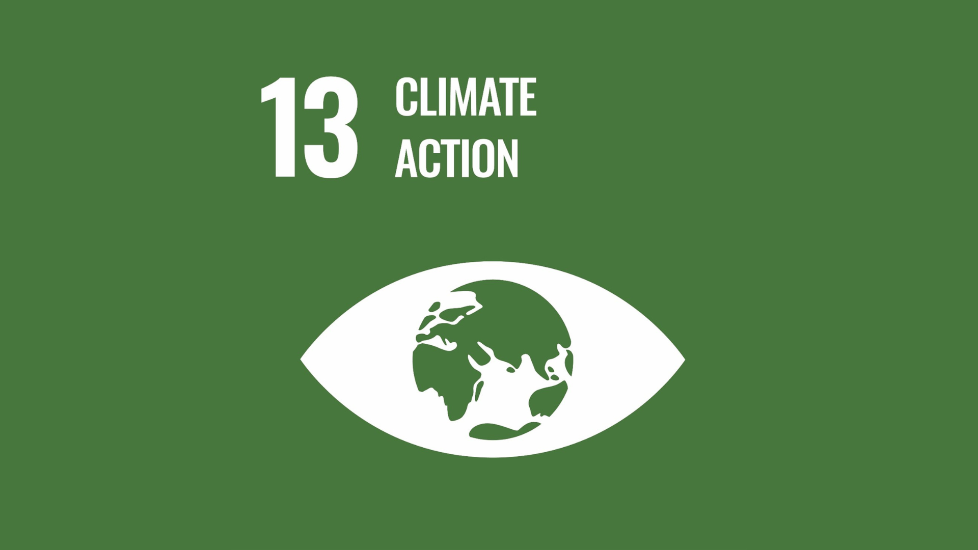 13-climate-action