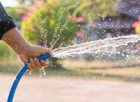 hosepipe_watering_garden