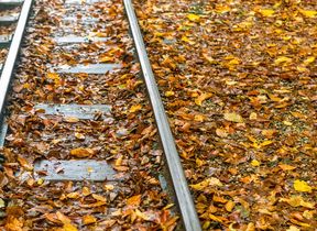 leaves-railway-tracks