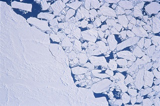 sea-ice-floes