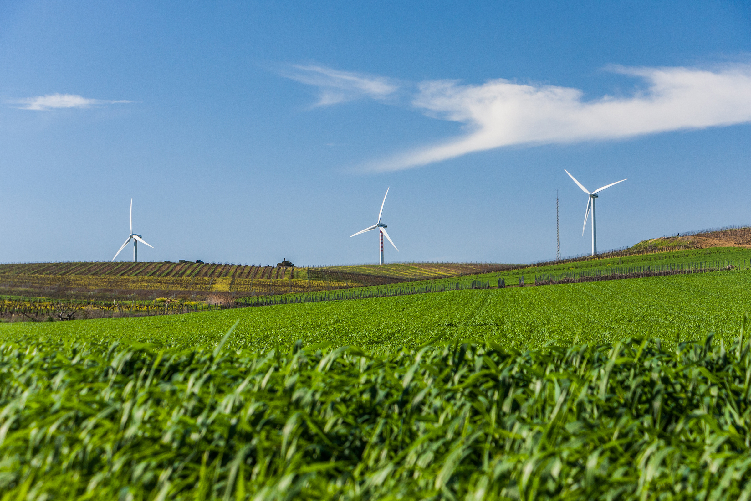 shutterstock_1046038249-wind-turbines