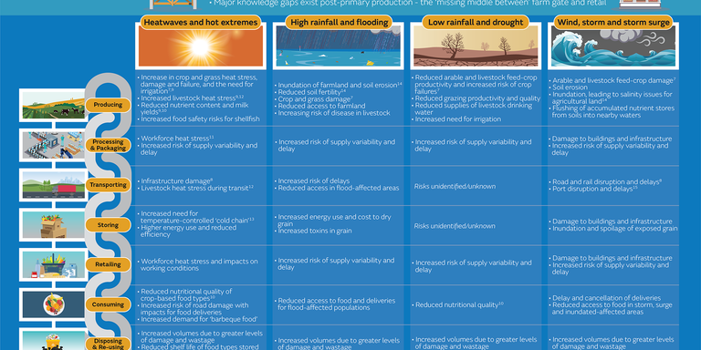 uk-food-system-infographic-mar22-01_v2